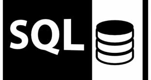 sql-file-format-symbol_318-45406